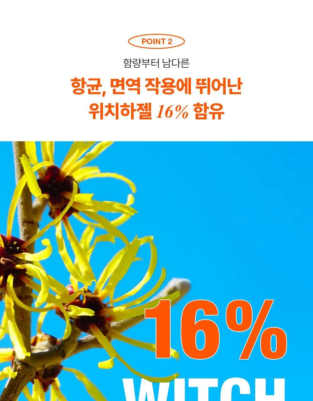 [단독기획] 런드리유 클린 포어 리퀴드 울트라 피지연화제 기획 (+피지전용화장솜 15매 증정) 상세페이지 28
